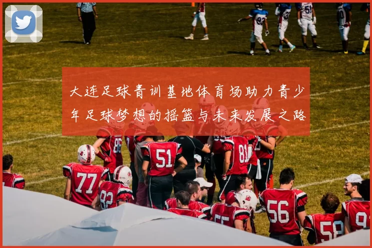 大连足球青训基地体育场助力青少年足球梦想的摇篮与未来发展之路