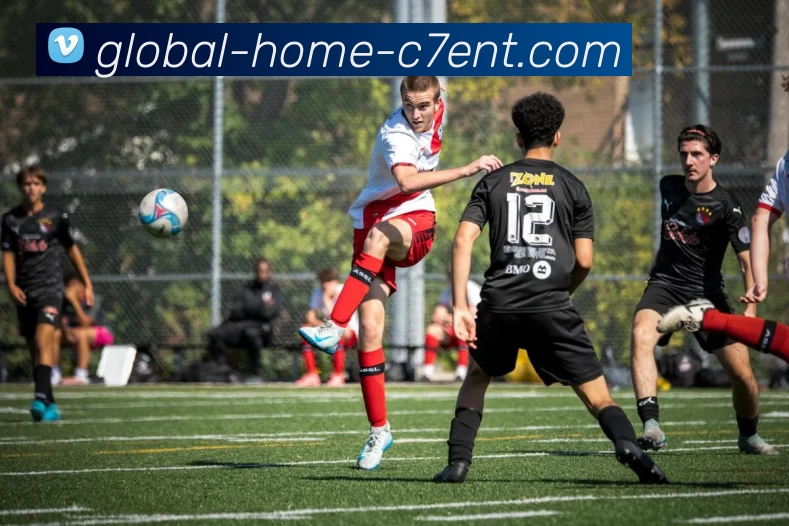 c7娱乐服务体系